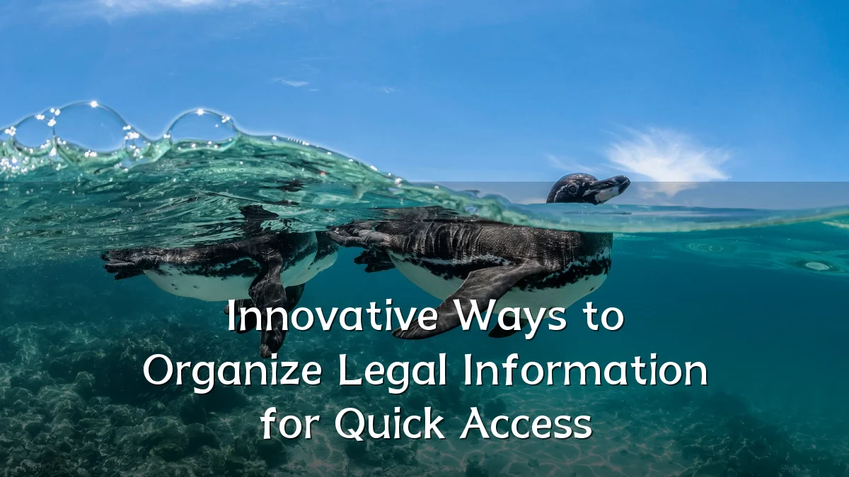Innovative Ways to Organize Legal Information for Quick Access
