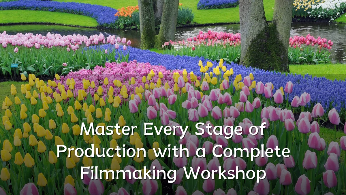 Master Every Stage of Production with a Complete Filmmaking Workshop