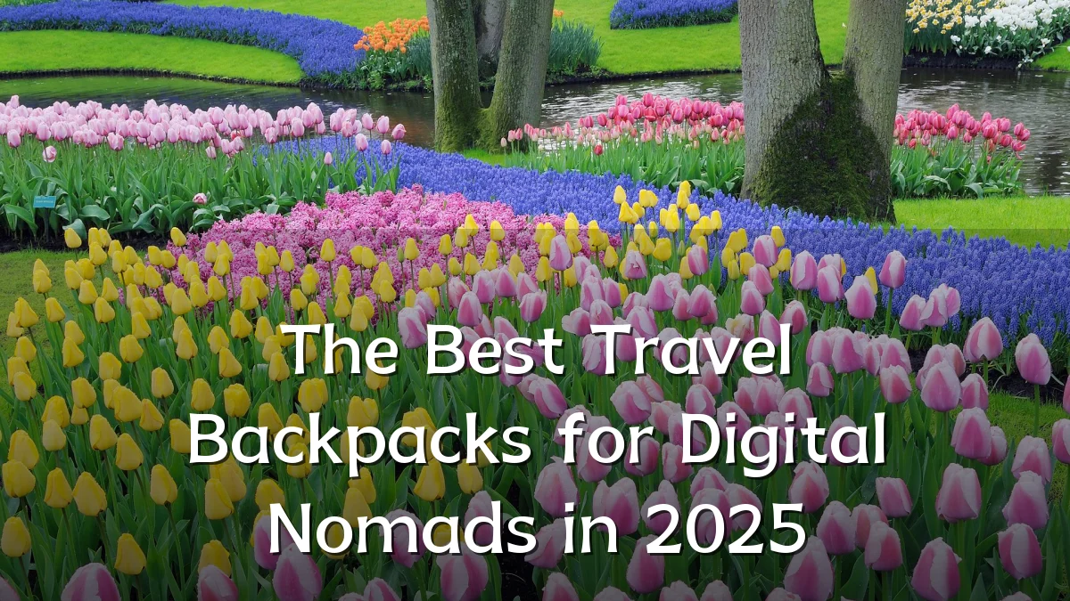 The Best Travel Backpacks for Digital Nomads in 2025