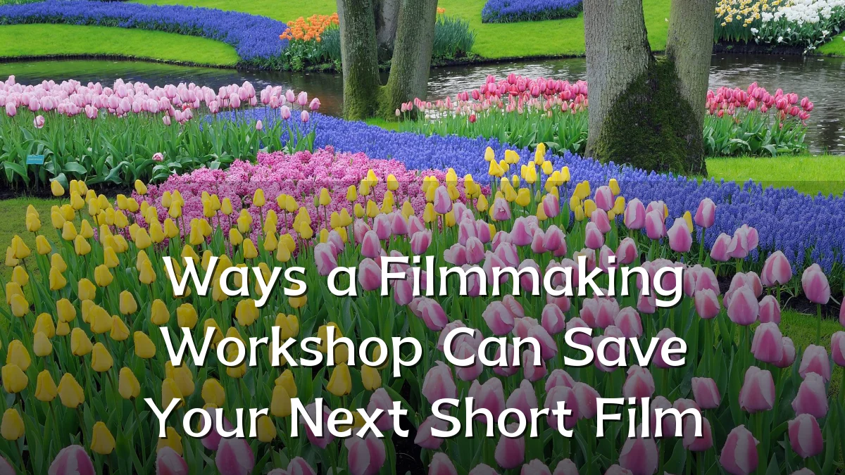 Ways a Filmmaking Workshop Can Save Your Next Short Film