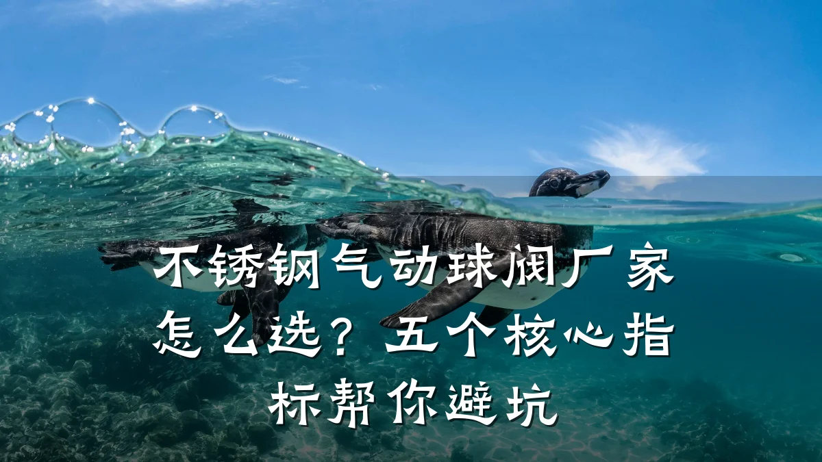 不锈钢气动球阀厂家怎么选?五个核心指标帮你避坑
