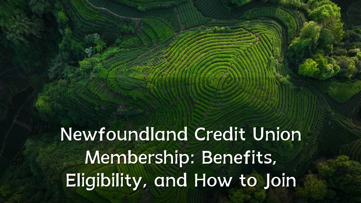 Newfoundland Credit Union Membership: Benefits, Eligibility, and How to Join