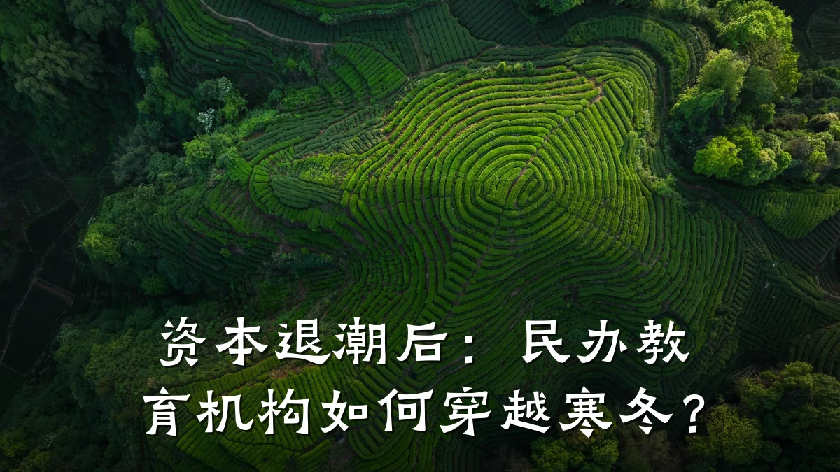 资本退潮后：民办教育机构如何穿越寒冬？