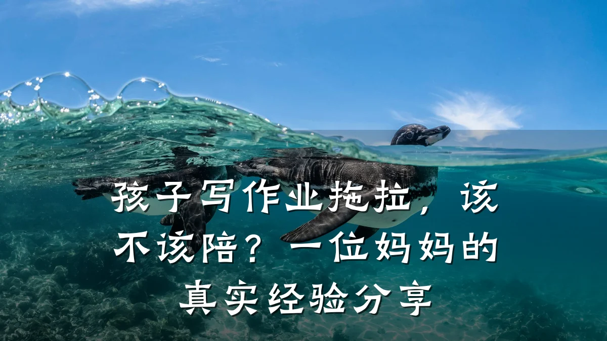 孩子写作业拖拉,该不该陪?一位妈妈的真实经验分享