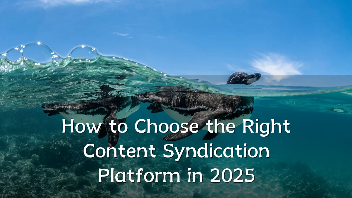 How to Choose the Right Content Syndication Platform in 2025