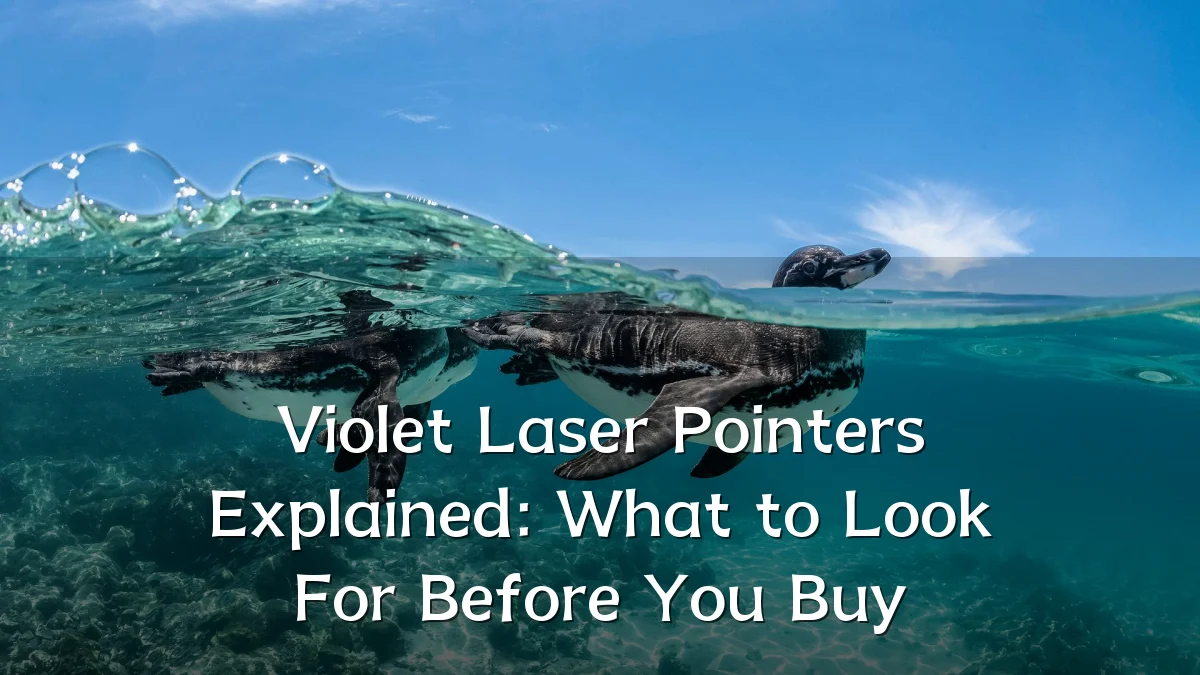 Violet Laser Pointers Explained: What to Look For Before You Buy